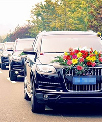 ���鳵�����ʺϣ�1ͷ��4����1����