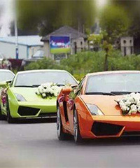 ���鳵�����ʺϣ�1ͷ��4����1����