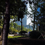 ������ֻ���������