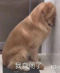 趟不牢啊!同事要给我介绍男朋友 结果比我还小5岁……