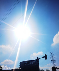 �����Ըһ���Ӳ�˳��