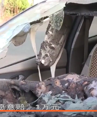 ����һ������ȼ�ձ����ˣ�˾��˵����������4�죡