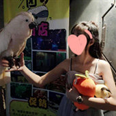 ���������Ѳ���ݳ�