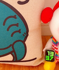 С����Apple watch �Ƽ���ʮ�㰢