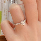 ɹ������ֽ���