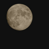 �ֻ���ĳ�������