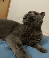 �����TA�����졿���������ѵ���