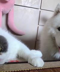 �����TA�����졿����ֻһ��������һ�£���Ŀ���������