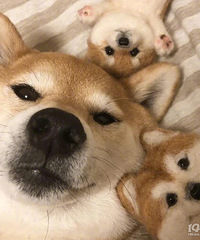 �����TA�����졿98��GG���г��з�ϲ�������ﹷ