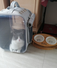 �����TA�����졿ȥ�������Ⱥ�� ����١��ʵ��