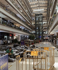 ��һ�ι���˵���ë����������