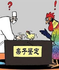 和老婆吵架分居2个月 她却突然告诉我怀孕了
