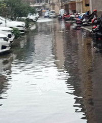 ס�ٻ��´���� �ϰ಻���װ���