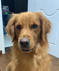 �����TA�����졿����С���Ѱ��Ե ������С��� ��ö���