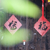 ��԰�ﲻһ����ɫ��