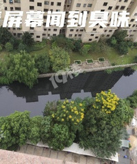 ��ˮ��ר����ĺ���ô����ˣ�