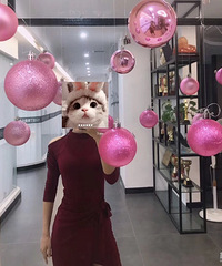 ������̲衿������ĵ�һ������Ҳ��