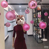 ��������������Ҷ���