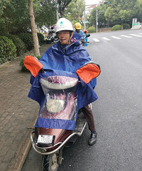 嘉兴的程*华 沈*明 沈*英……你们被交警曝光了!