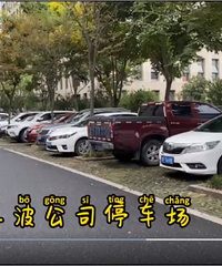 ����˵��������ͣ��������Щʲô����