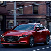 �������� �����׸�