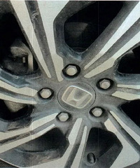 ������ҹ�ؼҷ��ֳ�λ��ռ�����öԷ�������̥��������