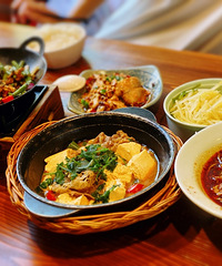 ���ﲻ����������������