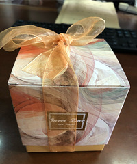 ��ʵ�޻���ϲ�� ��������ɹ��� ���ʲ��ѩ����