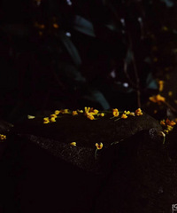 ���ҵĹ��������������ǳ������ˣ�