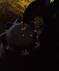 ���ҵĹ��������������ǳ������ˣ�