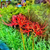 �컨ʯ��˰���