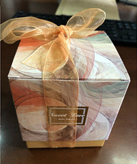 ��ʵ�ڵ�ϲ�ǣ���������ɹ�����ѩ����