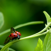 ����ĳ����Ѿ���û