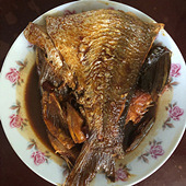 �������ҳ����ֲ�