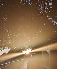 һ���˵�Ӱһ�������� ����һ��������