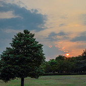 ÿ�ܴ���������