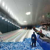 ��ԭɭ�ֳ����棡