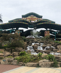 ������԰�Ķ�ԭɭ�ֳ����棡�����ȥ��