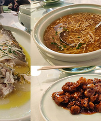 �����ζ��С�˹� ���ʺϼ�ͥ�۲�