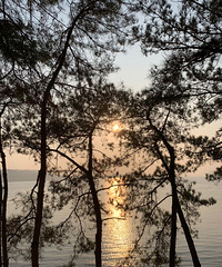 93��ҵ��С���Ҷ��� ��175 ����һ�����ж���