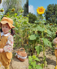 ���տ����Ѿ���ɿ����� ��ʣ��һ�����