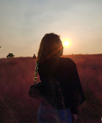 ��Ϣ����Ź��� ȥ����������