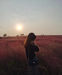 ��Ϣ����Ź��� ȥ����������