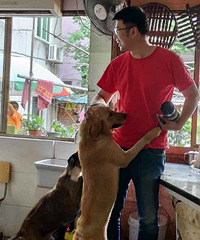 ��192�ļ���С�� ��Ӱ������ ϲ������