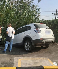 ����~ɲ��~ɵɵ�ֲ�������ص�һ�£�ȫ����ˣ�