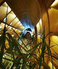 ������մϲ����ϣ���ҿ��������ѵ���