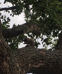 [����մϲ��]����������Ҫ���� ��¥��һ��ȥ��