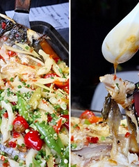 ����5�쿾��ȫ��5�� ��������ζ����