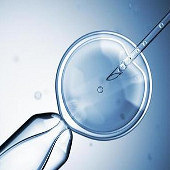 С����������ȥ��