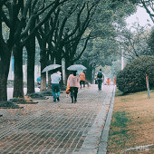 ��������е�̹�